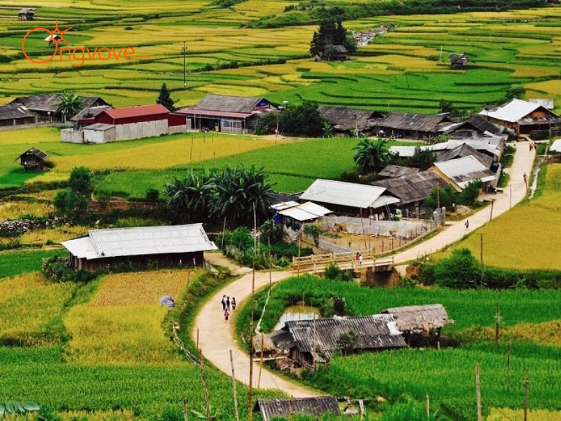 Các Địa Điểm Tham Quan Nổi Tiếng Gần Thác Pú Nhu Yên Bái
