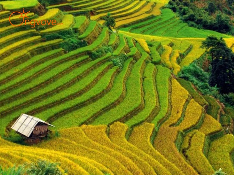 Các Địa Điểm Tham Quan Nổi Tiếng Mù Cang Chải Yên Bái