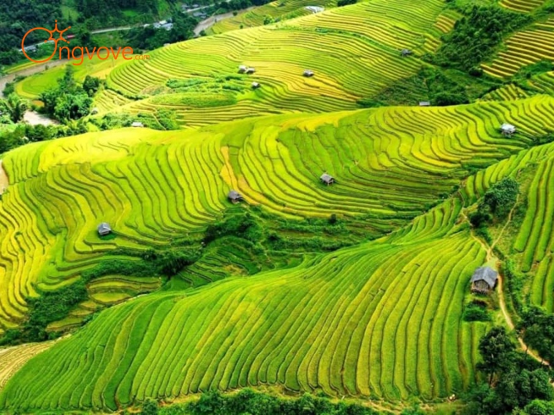 Các Địa Điểm Tham Quan Nổi Tiếng Thị trấn Nghĩa Lộ Yên Bái