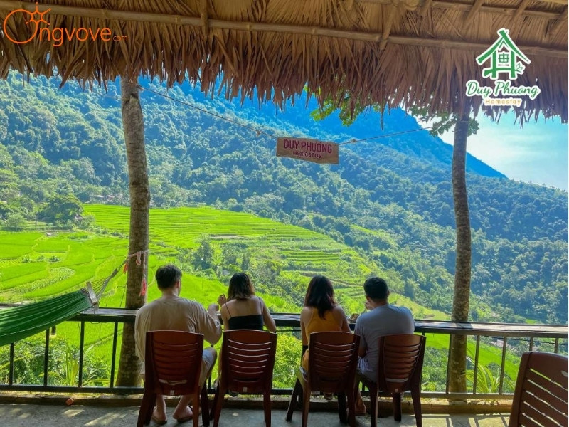 Các Dịch Vụ Lưu Trú Thành nhà Hồ