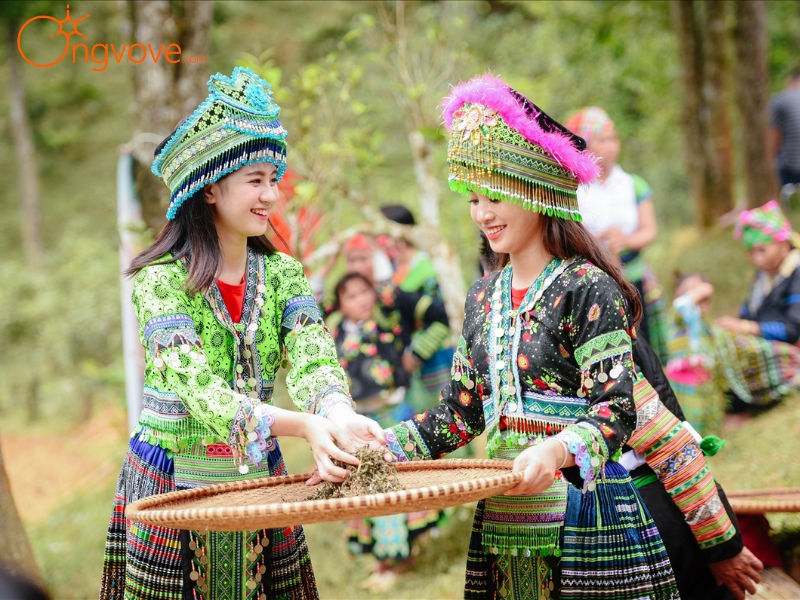 Cẩm Nang Du Lịch Suối Giàng Yên Bái: Những Lưu Ý Hữu Ích