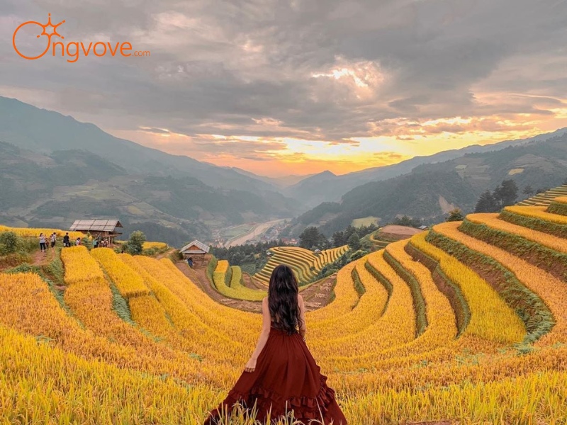 Đi Vào Thời Điểm Nào Mù Cang Chải Yên Bái Đẹp Nhất?