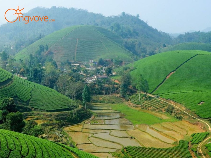 Giới Thiệu Suối Giàng Yên Bái: Nơi Thiên Nhiên Hùng Vĩ Hòa Quyện Văn Hóa Độc Đáo
