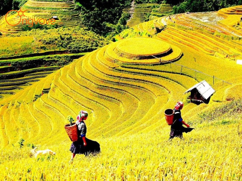 Giới Thiệu Tú Lệ Yên Bái: Khởi Đầu Cho Chuyến Phiêu Lưu Đầy Hứa Hẹn