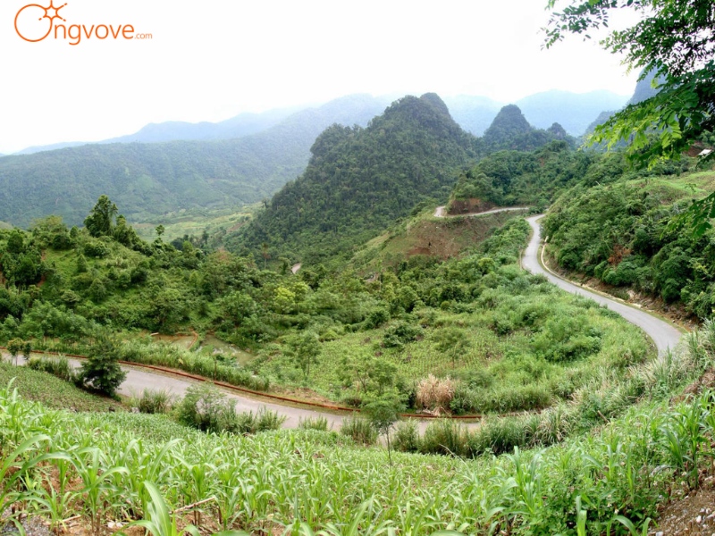 Hướng dẫn di chuyển đến Đèo Lũng Lô tự túc