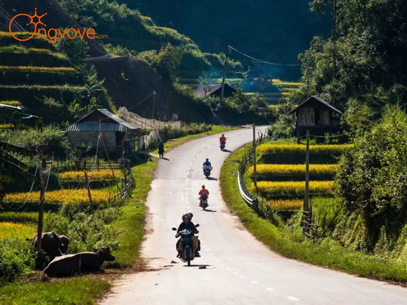 Hướng Dẫn Di Chuyển Tú Lệ Yên Bái: Lựa Chọn Phù Hợp Cho Hành Trình Của Bạn