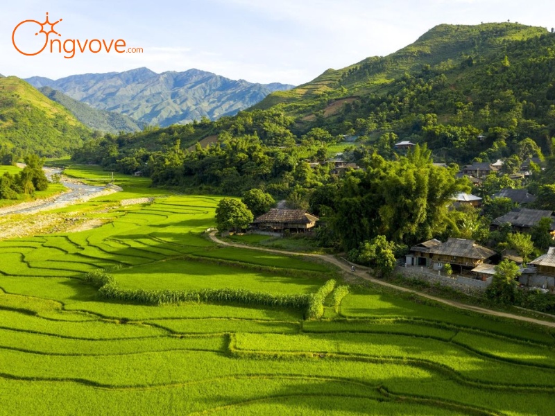 Kinh Nghiệm Chọn Mua Quà Tại Tú Lệ Yên Bái