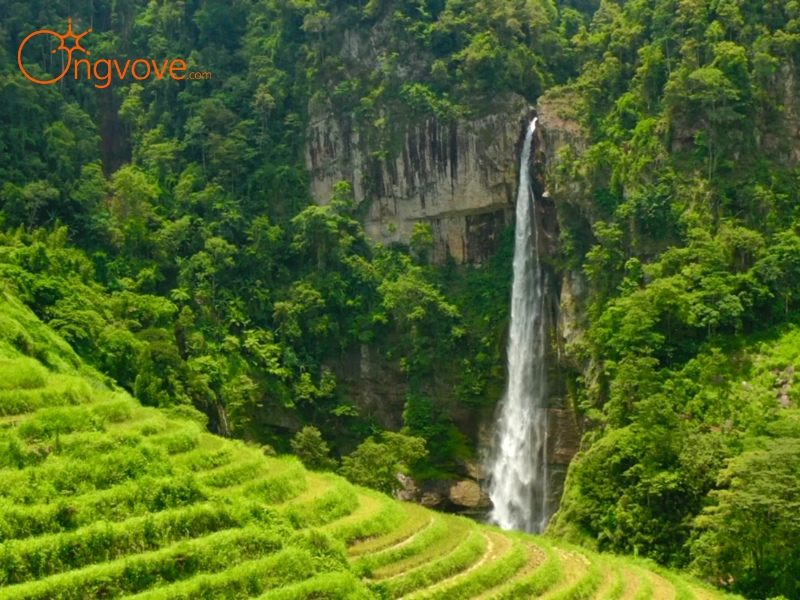 Lịch Sử Thác Háng Tề Chơ Yên Bái 