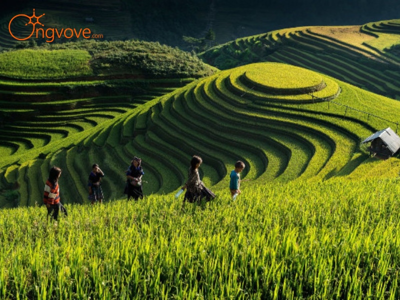 Một Số Lưu Ý Khi Du Lịch  Thị trấn Nghĩa Lộ Yên Bái