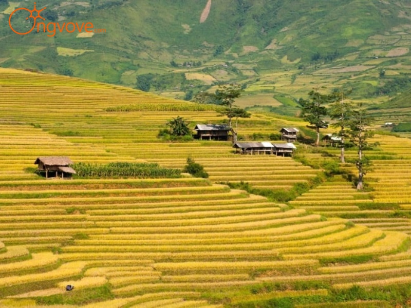 Một Số Lưu Ý Khi Du Lịch Tú Lệ Yên Bái