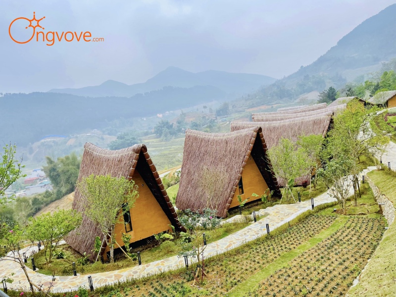 Ở Đâu Khi Đến Tú Lệ Yên Bái: Tìm Kiếm Nơi Nghỉ Ngơi Lý Tưởng