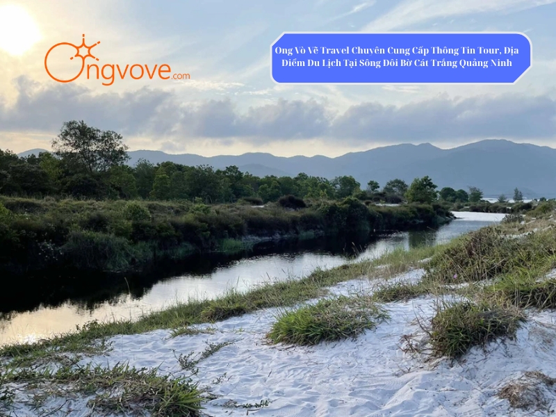 Ong Vò Vẽ Travel - Chuyên Cung Cấp Thông Tin Tour, Địa Điểm Du Lịch Tại Sông Đôi Bờ Cát Trắng Quảng Ninh