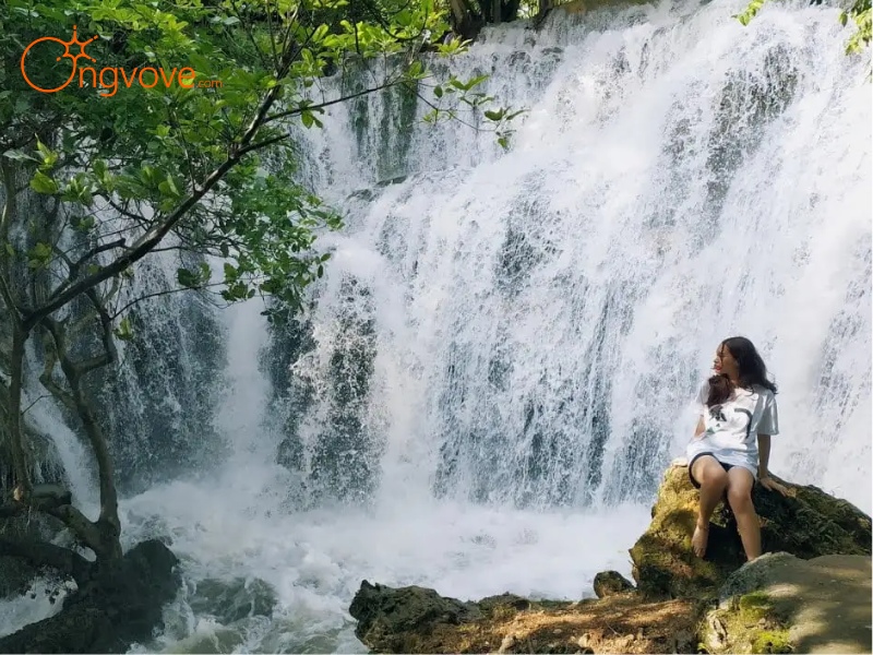 Ong Vò Vẽ Travel cung cấp dịch vụ Thác Voi tự túc