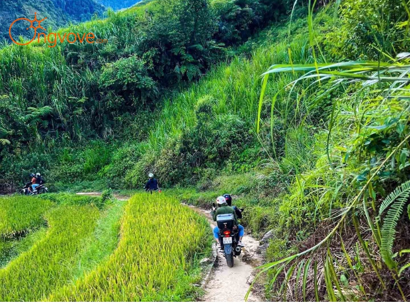 Phương Tiện Di Chuyển Thác Háng Tề Chơ Yên Bái