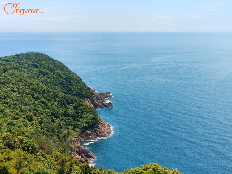 Sử Dụng Dịch Vụ Du Lịch "Đảo Hòn Mê tự túc" Tại Nền Tảng Ong Vò Vẽ Travel