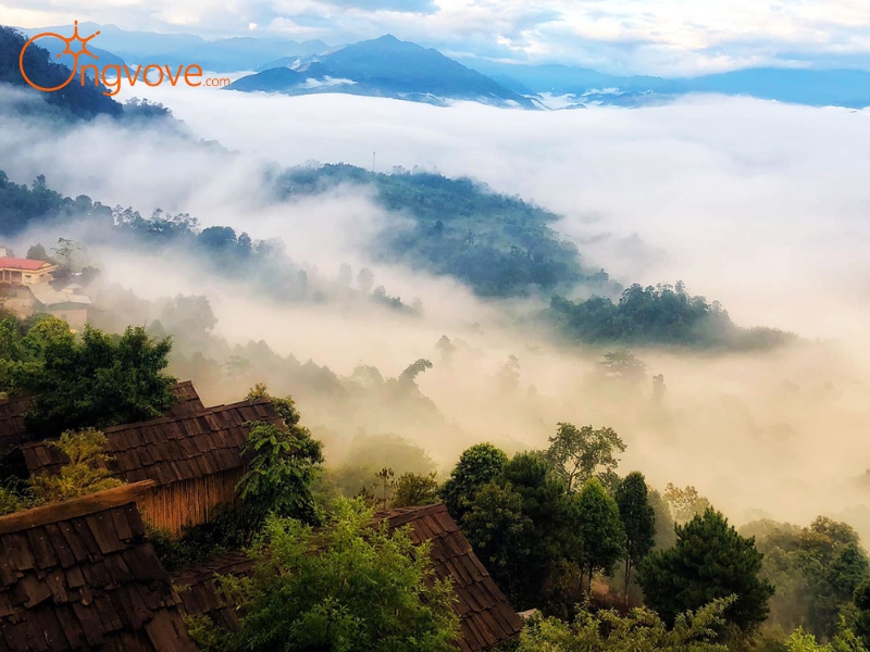 Thời Tiết Suối Giàng Yên Bái: Mùa Nào Đẹp Nhất Để Khám Phá?