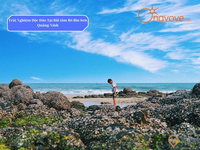 Trải Nghiệm Độc Đáo Tại Bãi tắm Rô Bin Sơn Quảng Ninh