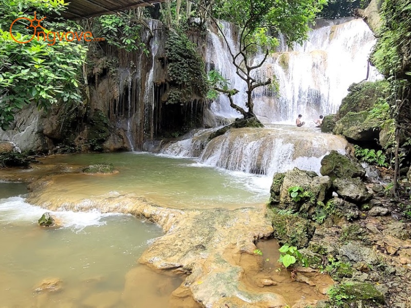 Vẻ đẹp hoang sơ của Thác Voi và hệ sinh thái rừng nguyên sinh