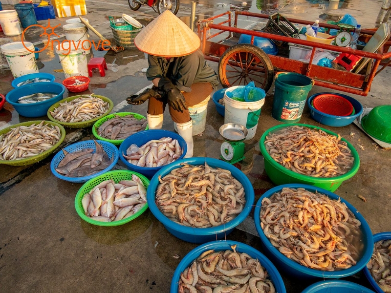 Chợ Cái Rồng Quảng Ninh có gì đặc biệt? Thế giới hải sản và văn hóa bản địa
