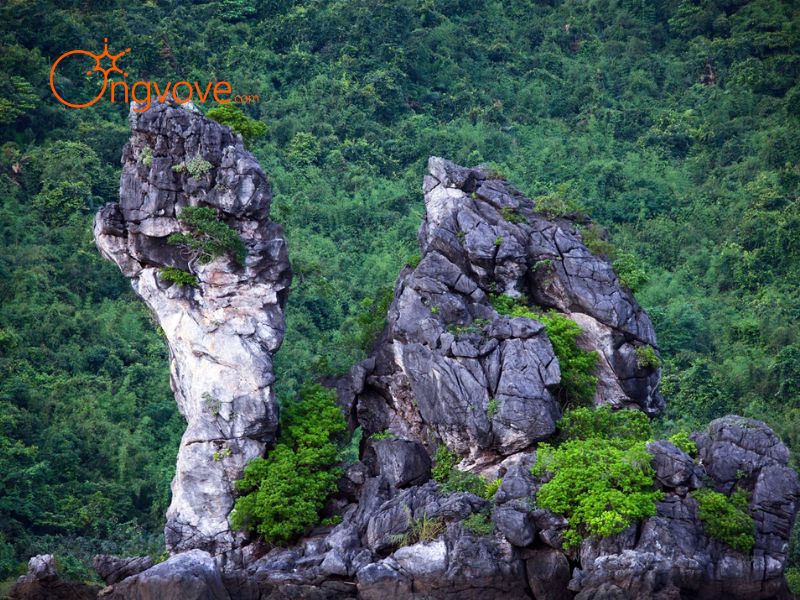 Giới thiệu tổng quan về Vườn Quốc Gia Bái Tử Long Quảng Ninh 