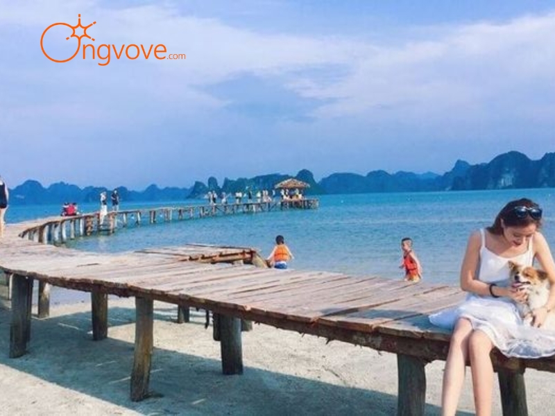 Gợi Ý Lịch Trình Bãi Trinh Sát Quảng Ninh 2 Ngày 1 Đêm