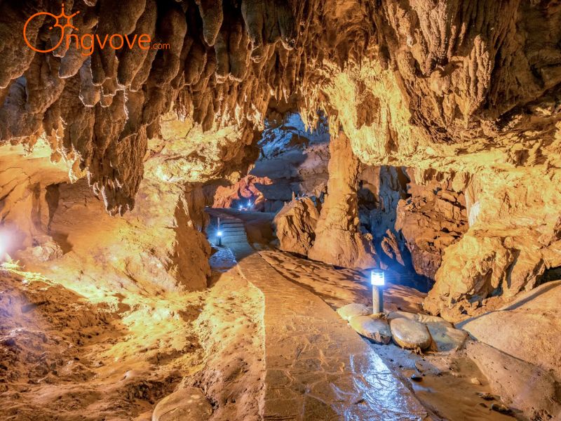 Khám Phá Không Gian Kỳ Vĩ Bên Trong Động