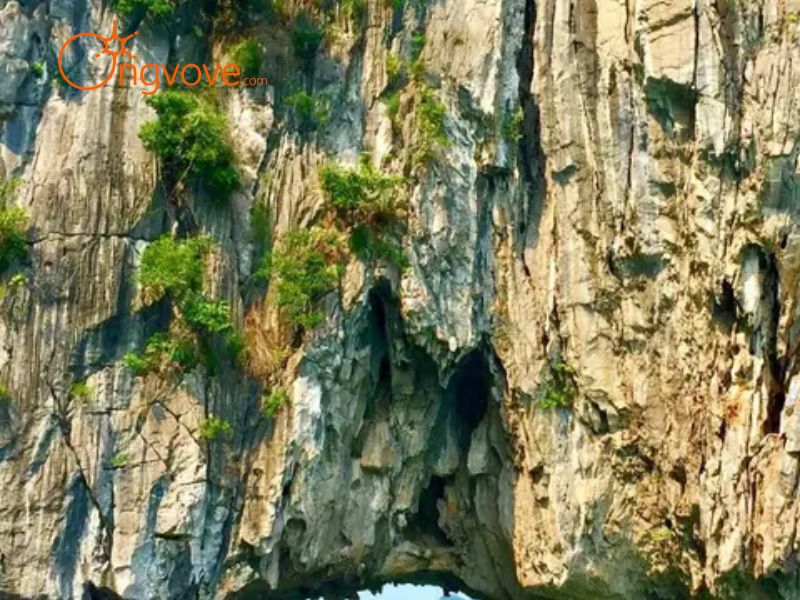 Khám phá vẻ đẹp ở Vườn Quốc Gia Bái Tử Long Quảng Ninh : Những điểm đến không thể bỏ lỡ