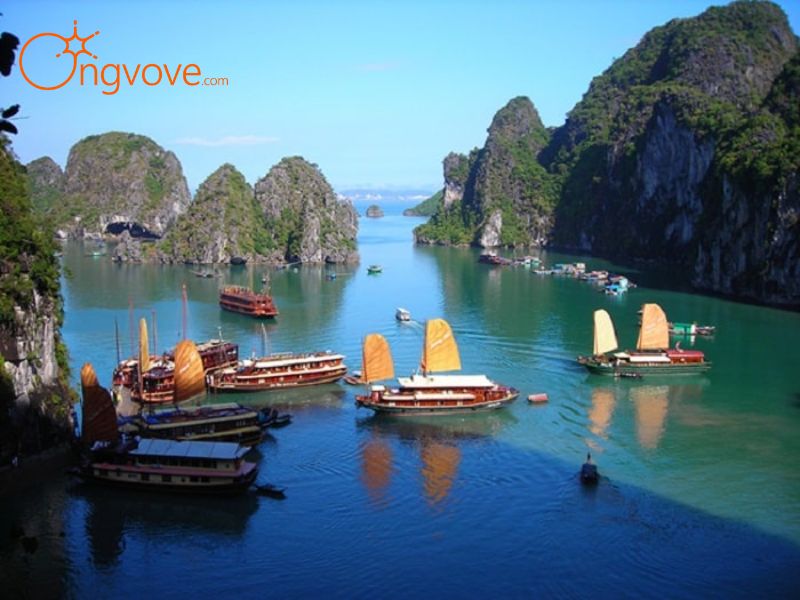 Kinh nghiệm và lưu ý khi du lịch Vườn Quốc Gia Bái Tử Long Quảng Ninh