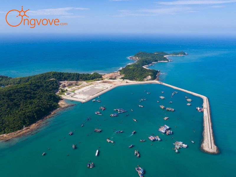 Ong Vò Vẽ Travel - Đơn Vị Chuyên Cung Cấp Thông Tin Tour, Địa Điểm Du Lịch Tại Bãi tắm Cô Tô Con Quảng Ninh