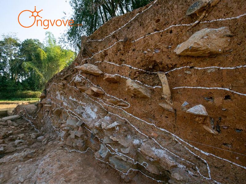 Ong Vò Vẽ Travel - Đơn Vị Chuyên Cung Cấp Thông Tin Tour, Địa Điểm Du Lịch Tại Thành Na Lữ