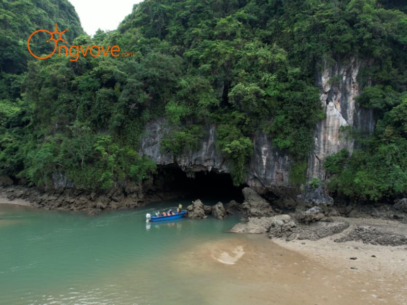 Ong Vò Vẽ Travel - Đơn Vị Chuyên Cung Cấp Thông Tin Tour, Địa Điểm Du Lịch Tại Vườn Quốc Gia Bái Tử Long Quảng Ninh