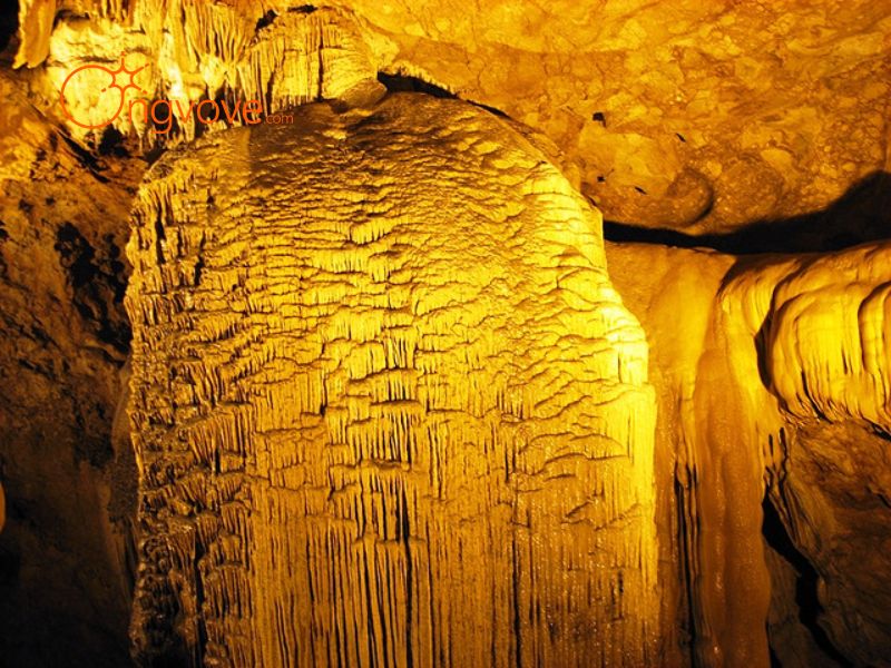 Thông Tin Hữu Ích Khác