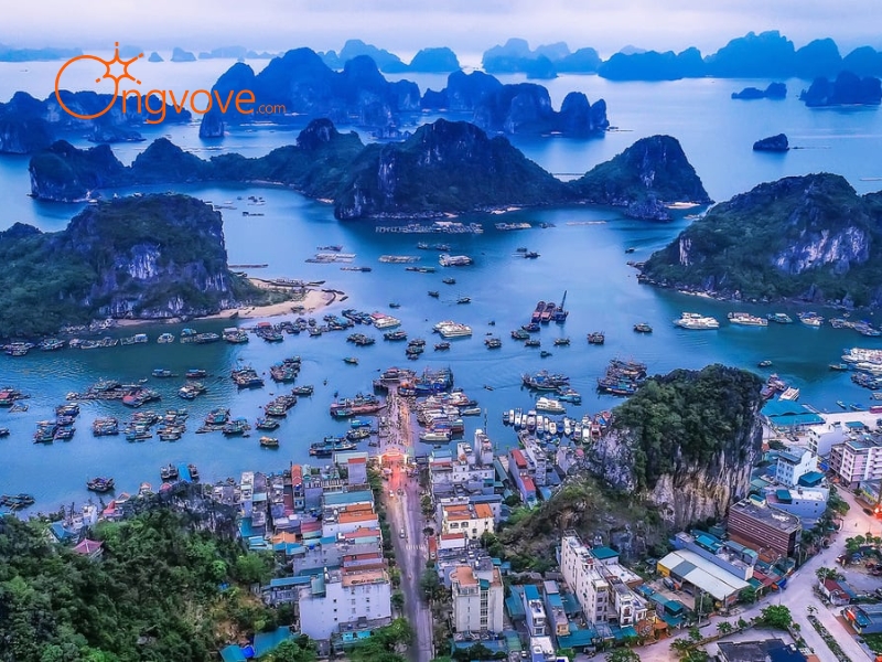 Vì sao Chợ Cái Rồng Quảng Ninh là điểm đến không thể bỏ lỡ khi du lịch Vân Đồn?