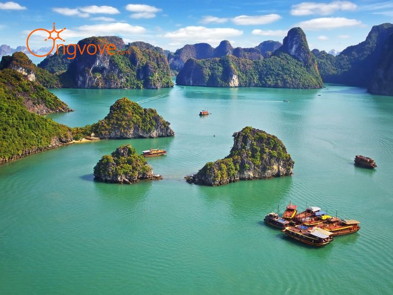 Gợi Ý Địa Điểm Lưu Trú Chất Lượng Tại Quảng Ninh