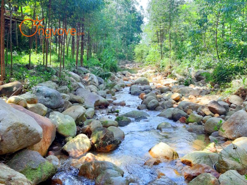 Những Lưu Ý Quan Trọng Khi Du Lịch Thác Mơ