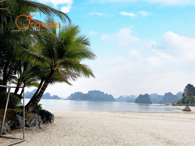 Ong Vò Vẽ Travel - Đơn Vị Chuyên Cung Cấp Thông Tin Tour, Địa Điểm Du Lịch Tại Bãi tắm Lương Ngọc TP.Cẩm Phả Quảng Ninh