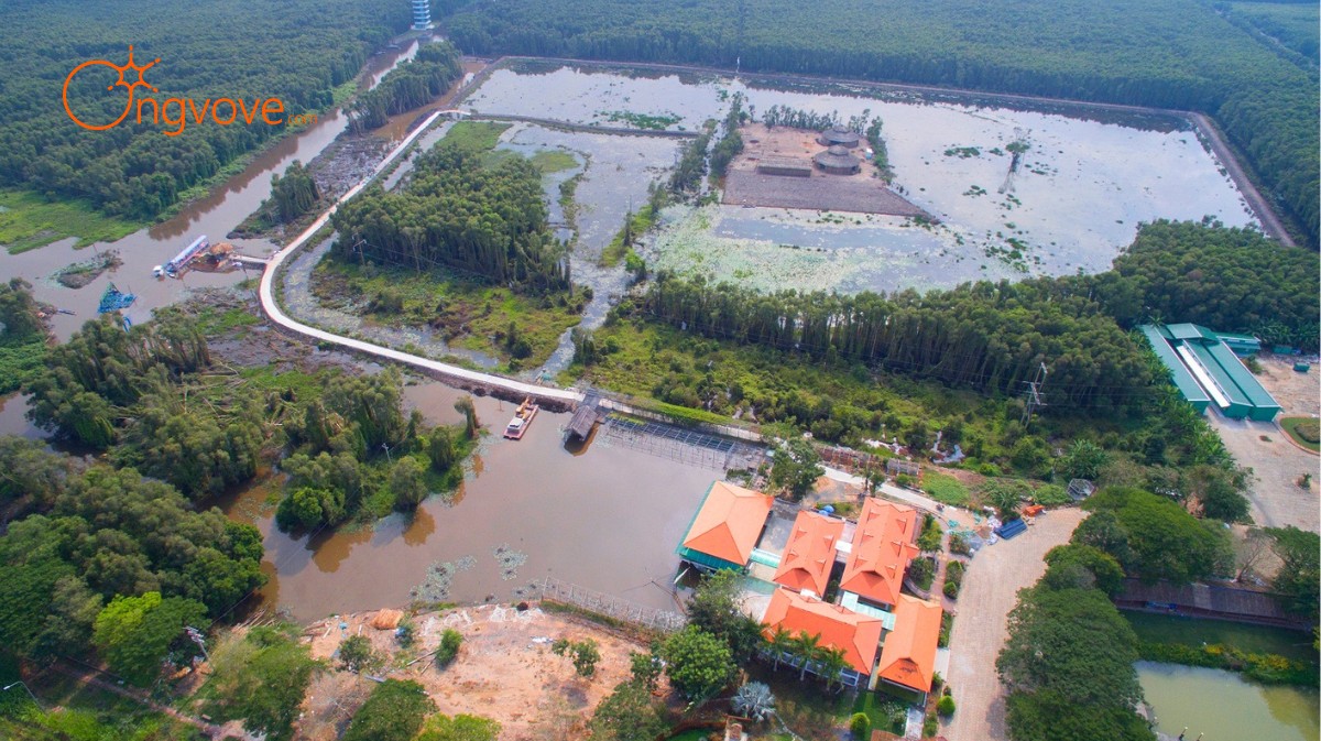 Làng Nổi Tân Lập Long An tự túc