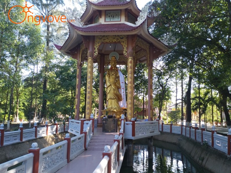 Chùa Tôn Thạnh Long An Tự Túc: Hướng Dẫn Di Chuyển và Lưu Ý Quan Trọng