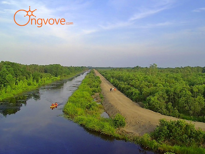 Kinh nghiệm đi Cánh Đồng Bất Tận tự túc cùng Ong Vò Vẽ Travel