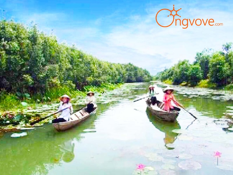 Kinh nghiệm khám phá Láng Sen tự túc: Lịch trình tự do, trải nghiệm chân thực