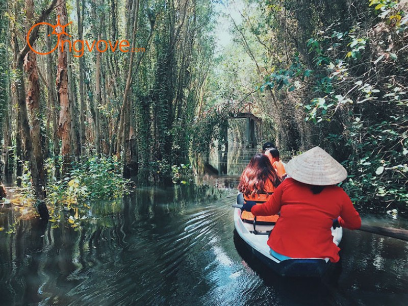 Làng Nổi Tân Lập Có Đáng Để Đi Không? – Lời Khẳng Định Từ Ong Vò Vẽ Travel