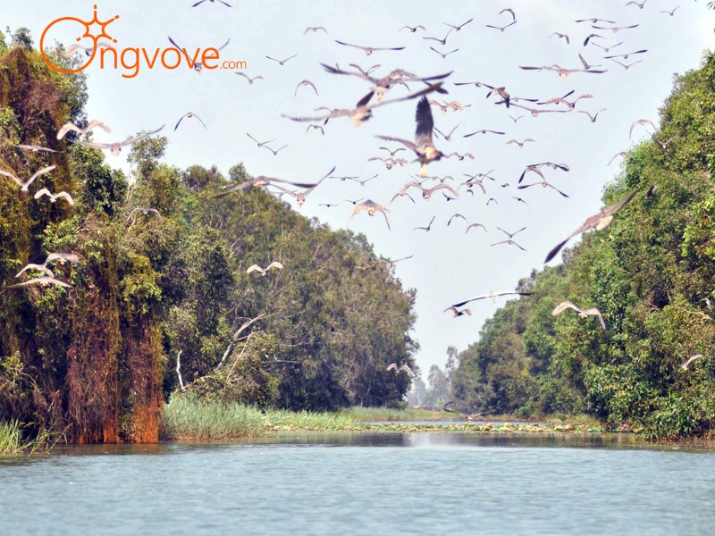Láng Sen - Nơi vẻ đẹp tự nhiên vẫy gọi