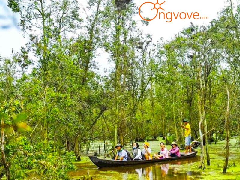 Láng Sen - Viên ngọc quý của Đồng Tháp Mười
