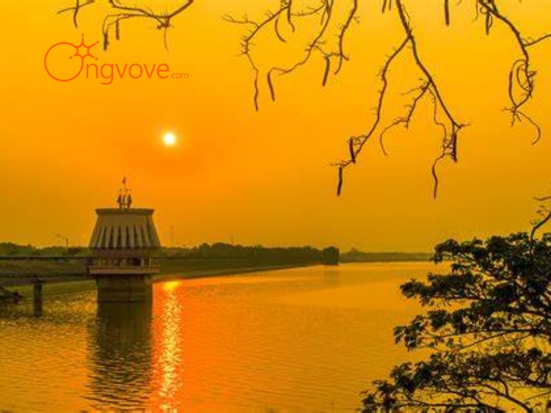 Ong Vò Vẽ Travel - Đơn vị cung cấp chuyến đi Hồ Dầu Tiếng tự túc dành cho bạn