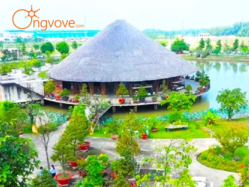 Ong Vò Vẽ Travel – Đơn vị chuyên cung cấp chuyến đi Khu bảo tồn đất ngập nước Láng Sen Long An tự túc cho bạn