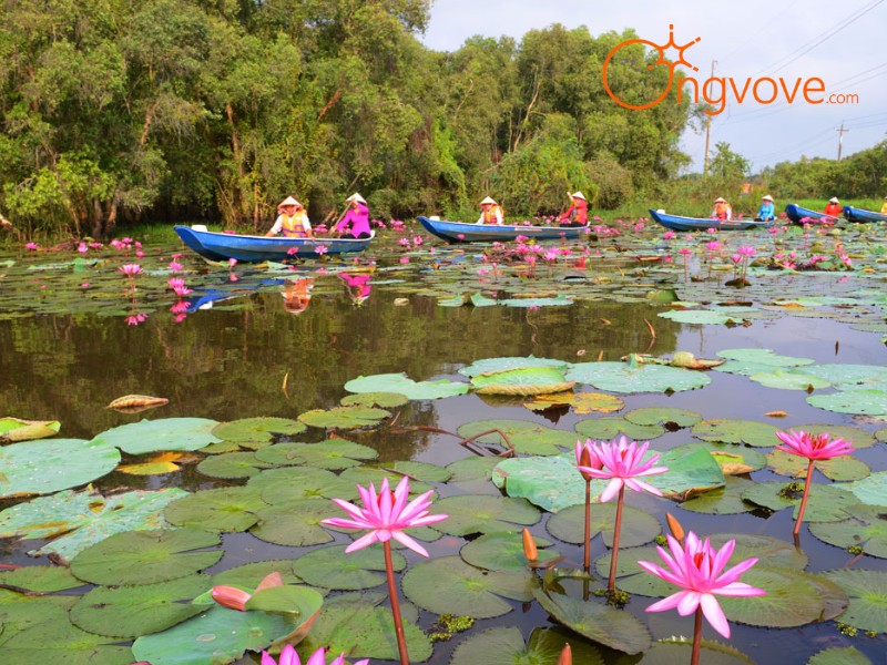 Ong Vò Vẽ Travel - Đơn vị cung cấp Deal Du Lịch đến Làng Nổi Tân Lập cho bạn