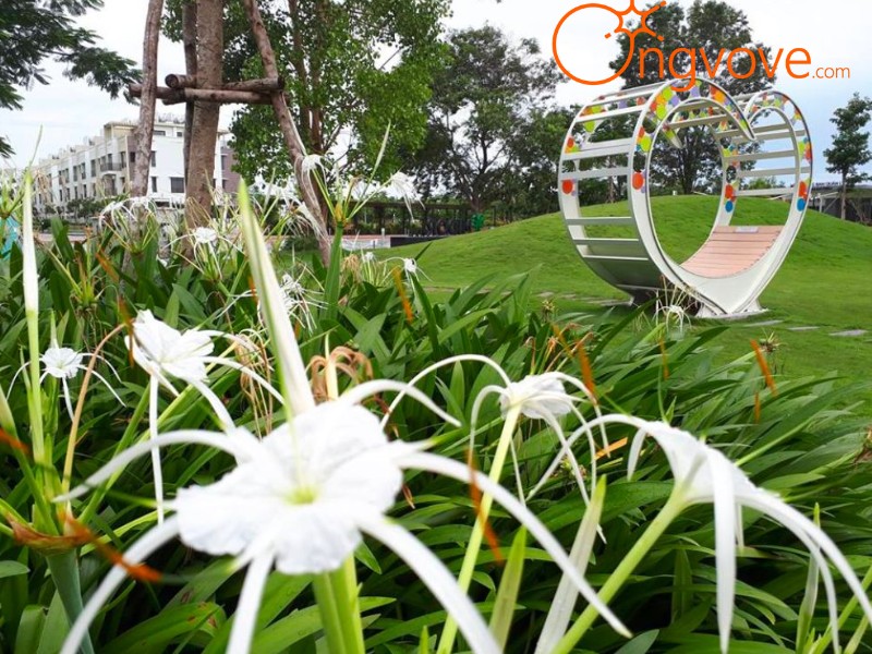 Những lưu ý quan trọng cho chuyến đi Công viên MIDORI Bình Dương tự túc của bạn
