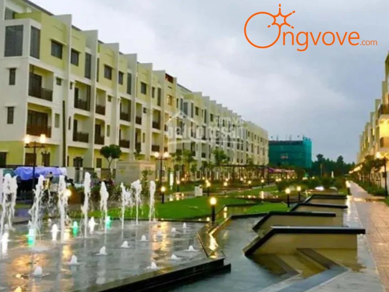 Ong Vò Vẽ Travel – Đơn vị chuyên cung cấp chuyến đi Công Viên MIDORI Bình Dương tự túc cho bạn