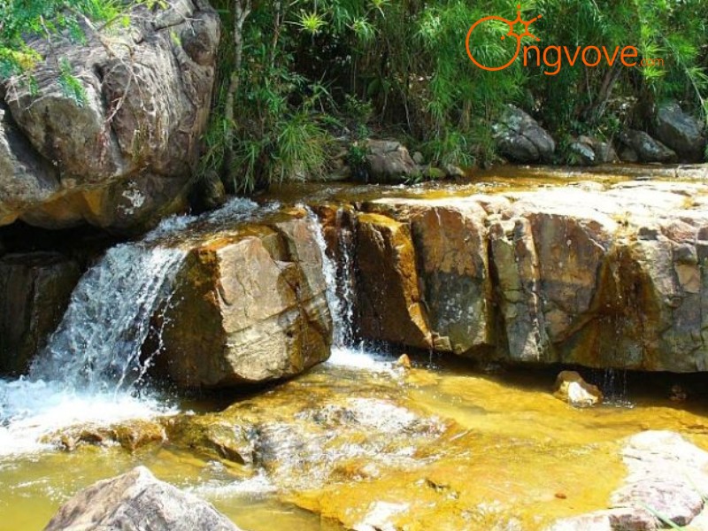 Đến Suối Trúc chơi gì? Trải nghiệm hòa mình vào Thiên nhiên Hoang sơ
