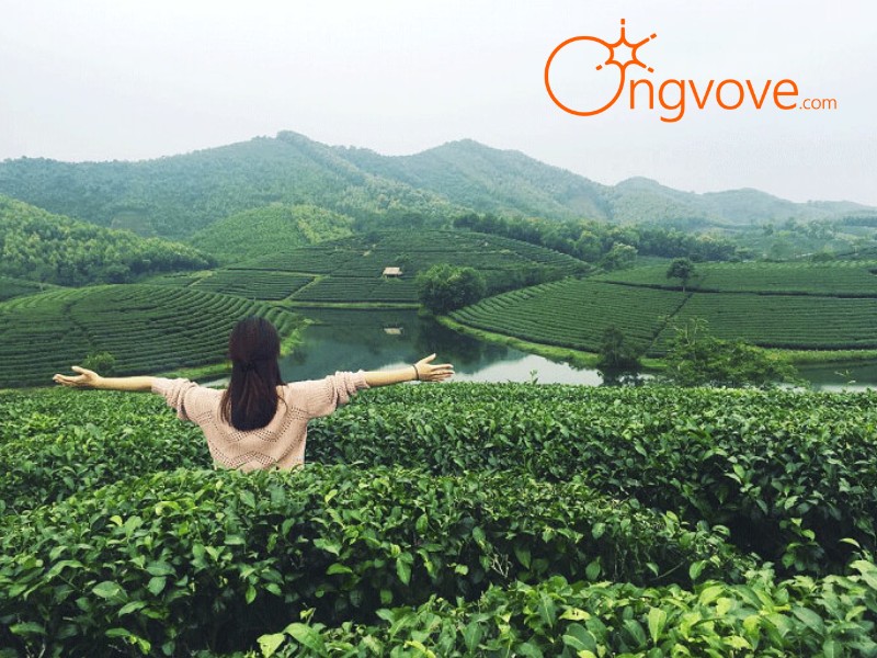 Địa điểm cư trú tại Đồi chè Tân Cương